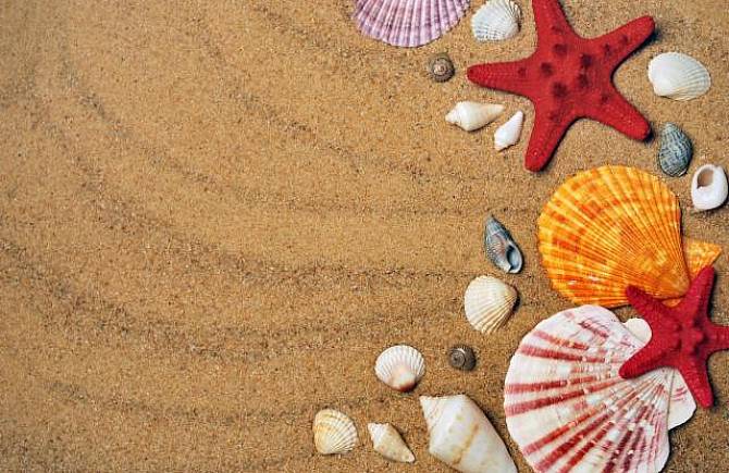 Hotel Ambra | Rimini | Pay Now and Save